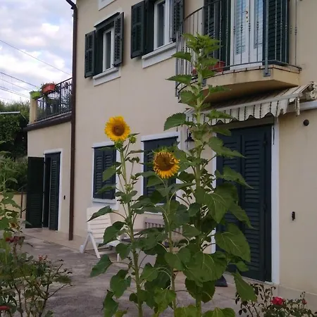 Alle Rose Barcolane 3*