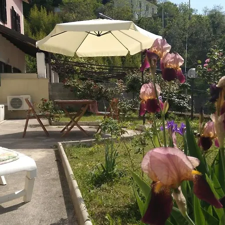 Alle Rose Barcolane Отель типа 