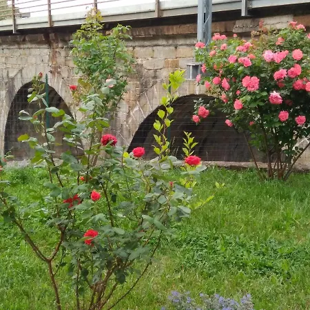 Alle Rose Barcolane