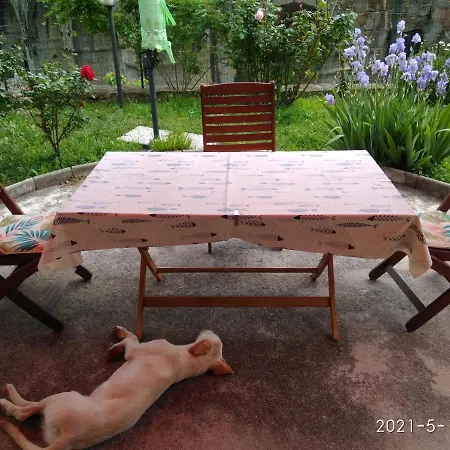 Alle Rose Barcolane 3* Trieste