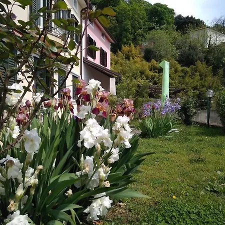 Alle Rose Barcolane 3* Terst