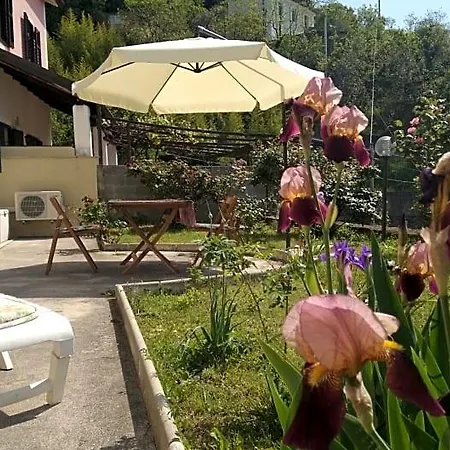 Alle Rose Barcolane 3*