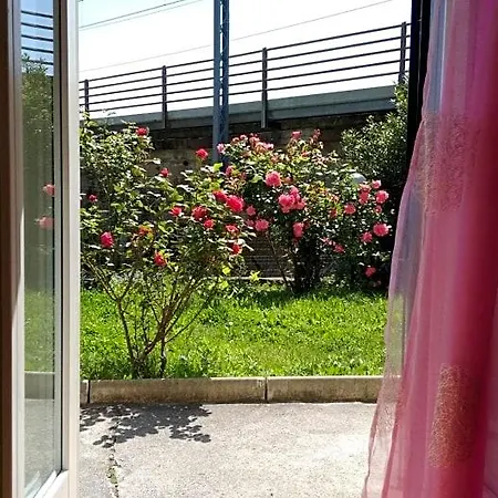 Alle Rose Barcolane 3*