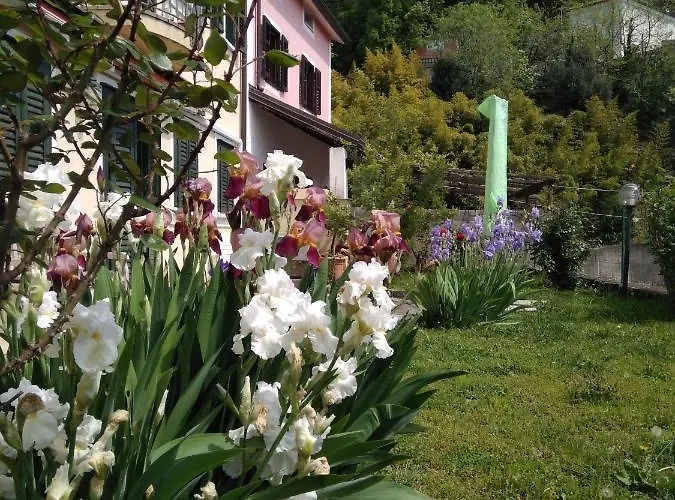 Alle Rose Barcolane 3* Trieste